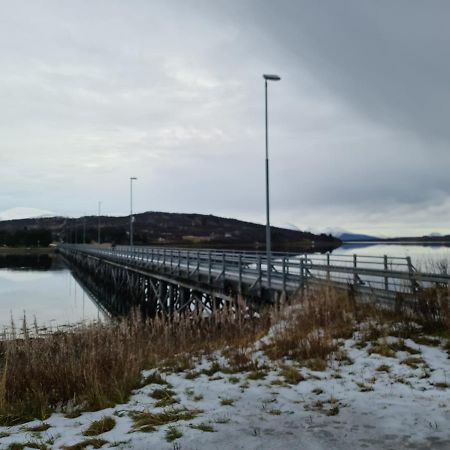 Great House With Amazing Location!!Sea & Mountain View! Villa Kvaloya Exteriör bild