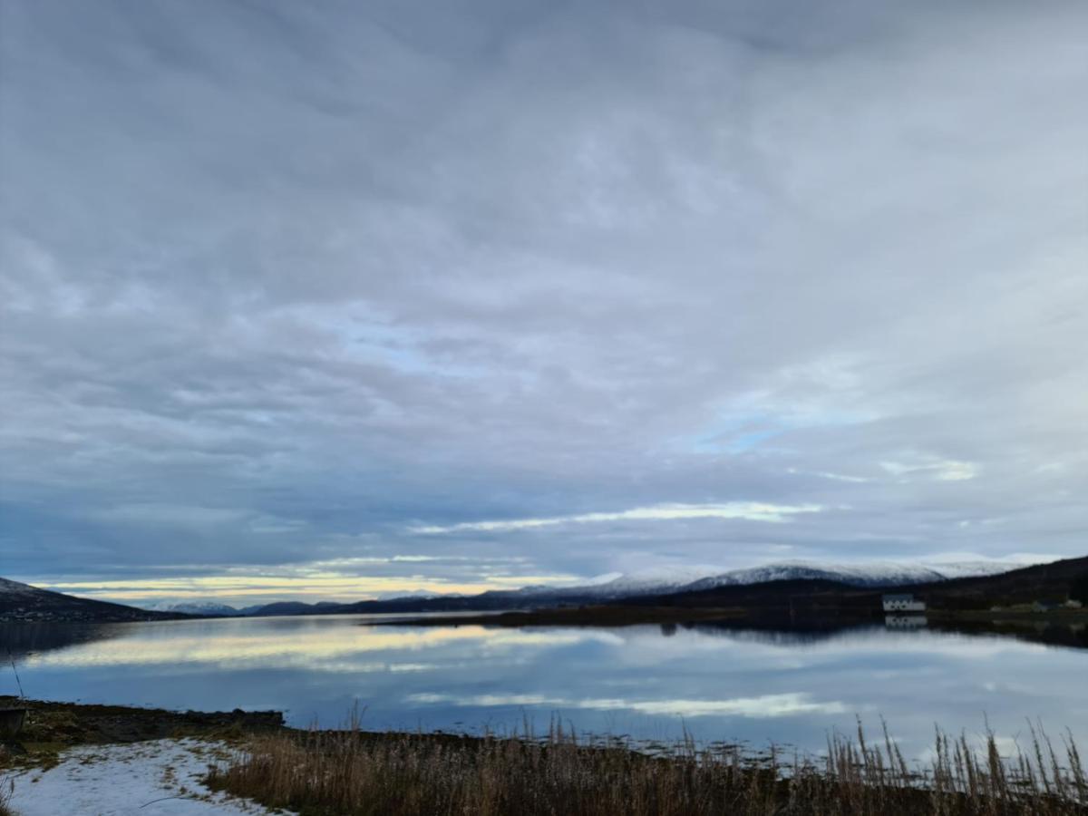 Great House With Amazing Location!!Sea & Mountain View! Villa Kvaloya Exteriör bild